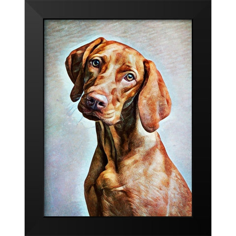 Hungarian Vizsla Adoration Black Modern Wood Framed Art Print by Aldridge, Ashley