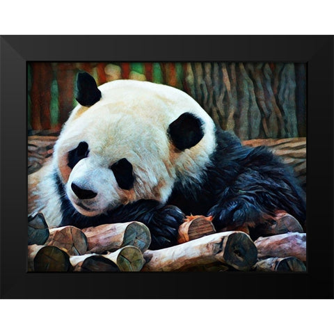 Giant Panda Snooze  Black Modern Wood Framed Art Print by Aldridge, Ashley
