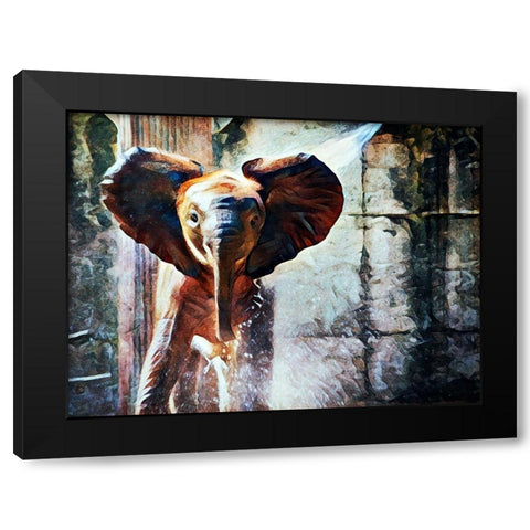Baby African Elephant Hose Down Black Modern Wood Framed Art Print with Double Matting by Aldridge, Ashley
