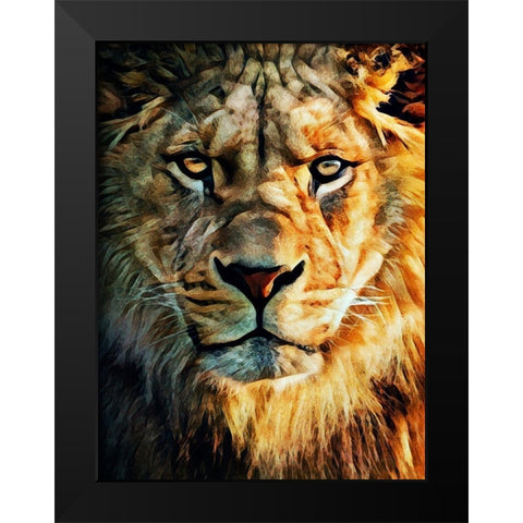 Lion Stare Down Black Modern Wood Framed Art Print by Aldridge, Ashley