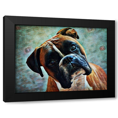 German Boxer Intrigue Black Modern Wood Framed Art Print with Double Matting by Aldridge, Ashley