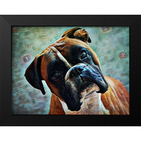 German Boxer Intrigue Black Modern Wood Framed Art Print by Aldridge, Ashley