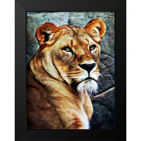 Lioness Beautiful Focus Black Modern Wood Framed Art Print by Aldridge, Ashley