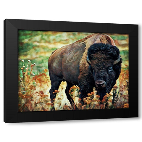 American Bison Grassland Graze Black Modern Wood Framed Art Print by Aldridge, Ashley
