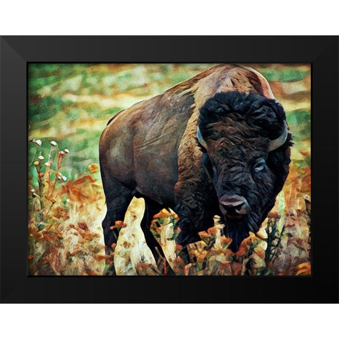 American Bison Grassland Graze Black Modern Wood Framed Art Print by Aldridge, Ashley