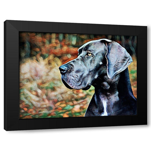 Great Dane Greatness Black Modern Wood Framed Art Print with Double Matting by Aldridge, Ashley