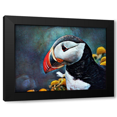Atlantic Puffin Peculiar Black Modern Wood Framed Art Print by Aldridge, Ashley