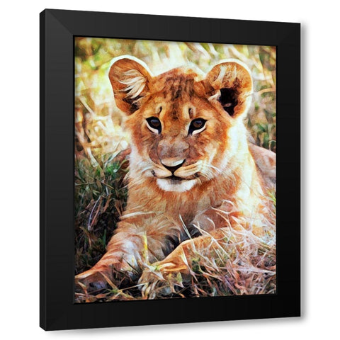 Lion Cub Future King  Black Modern Wood Framed Art Print with Double Matting by Aldridge, Ashley