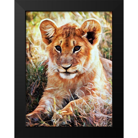 Lion Cub Future King  Black Modern Wood Framed Art Print by Aldridge, Ashley