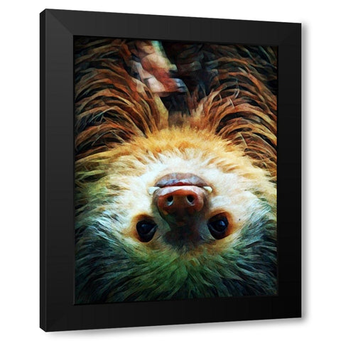 Hoffmanns Two-Toed Sloth Swing Black Modern Wood Framed Art Print by Aldridge, Ashley