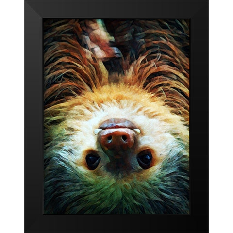 Hoffmanns Two-Toed Sloth Swing Black Modern Wood Framed Art Print by Aldridge, Ashley