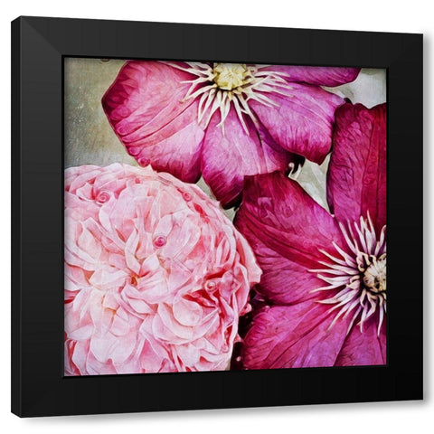 Pretty Pink Petals Black Modern Wood Framed Art Print with Double Matting by Aldridge, Ashley