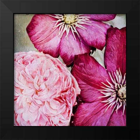 Pretty Pink Petals Black Modern Wood Framed Art Print by Aldridge, Ashley