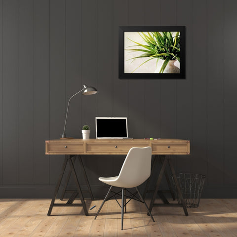 White Potted Plant Black Modern Wood Framed Art Print by Aldridge, Ashley