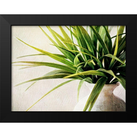 White Potted Plant Black Modern Wood Framed Art Print by Aldridge, Ashley
