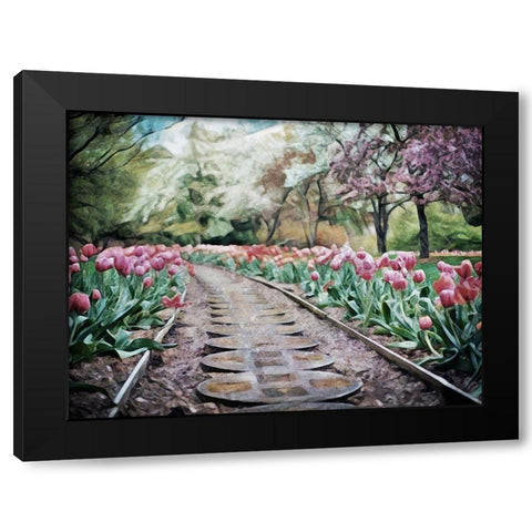 Spring Tulipa Trail Black Modern Wood Framed Art Print by Aldridge, Ashley