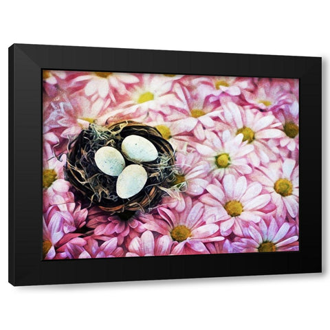 Nested On Daisies Black Modern Wood Framed Art Print with Double Matting by Aldridge, Ashley