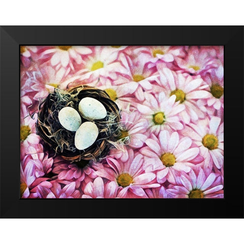 Nested On Daisies Black Modern Wood Framed Art Print by Aldridge, Ashley
