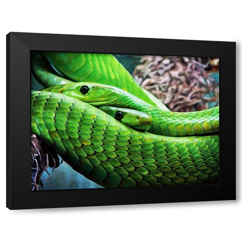 Green Mamba Makes Two Black Modern Wood Framed Art Print with Double Matting by Aldridge, Ashley