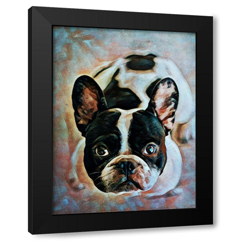 French Bulldog Fixation Black Modern Wood Framed Art Print with Double Matting by Aldridge, Ashley
