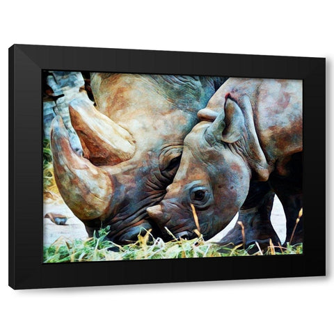 Rhinoceros and Calf Connection Black Modern Wood Framed Art Print with Double Matting by Aldridge, Ashley