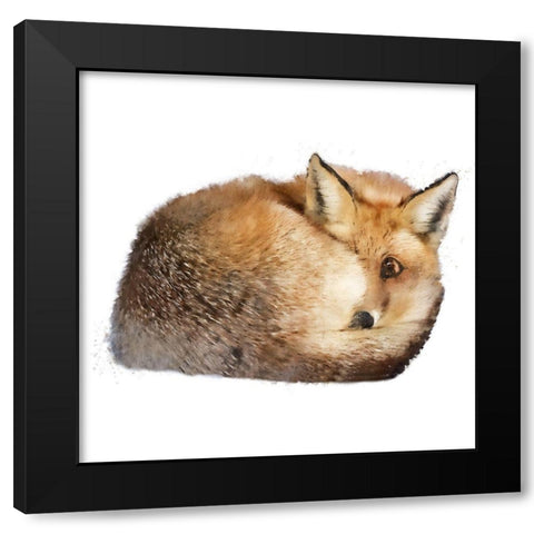 Sleeping Fox Black Modern Wood Framed Art Print by Curinga, Kim