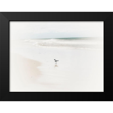 Bleached Bird Black Modern Wood Framed Art Print by Curinga, Kim