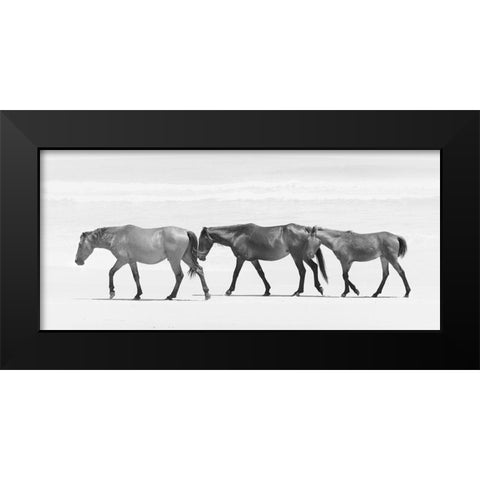 Beach Horse Trio Black Modern Wood Framed Art Print by Curinga, Kim