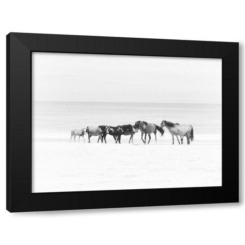Corolla Beach Horses Black Modern Wood Framed Art Print by Curinga, Kim