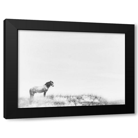 Lone Beach Horse Black Modern Wood Framed Art Print by Curinga, Kim
