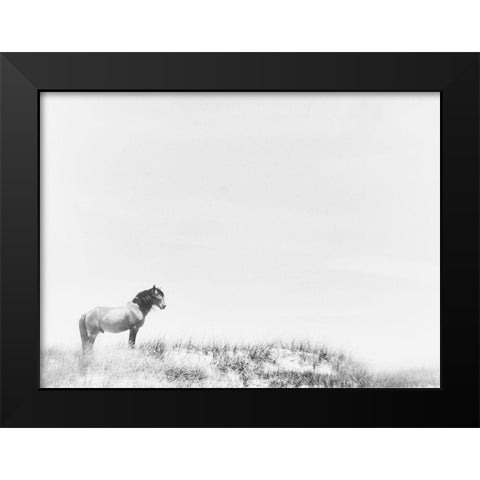 Lone Beach Horse Black Modern Wood Framed Art Print by Curinga, Kim