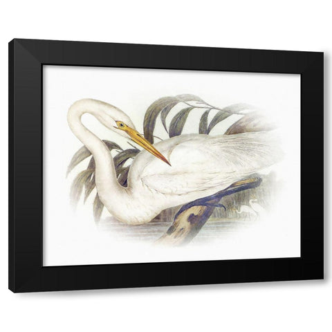 Sentimental Plumage II Black Modern Wood Framed Art Print by Hunziker, Steve