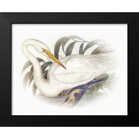 Sentimental Plumage II Black Modern Wood Framed Art Print by Hunziker, Steve