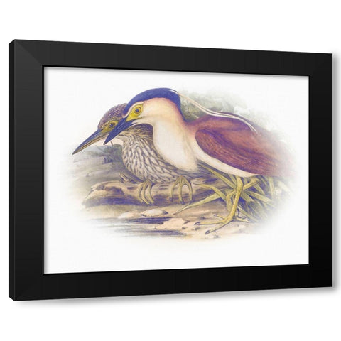 Sentimental Plumage V Black Modern Wood Framed Art Print by Hunziker, Steve