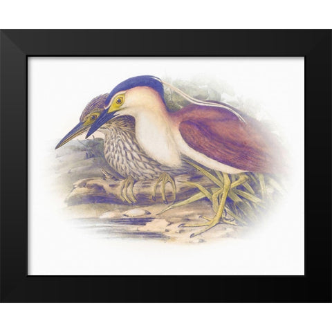Sentimental Plumage V Black Modern Wood Framed Art Print by Hunziker, Steve