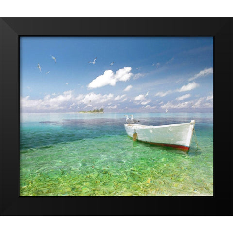 Tropical Shangrila IV Black Modern Wood Framed Art Print by Hunziker, Steve