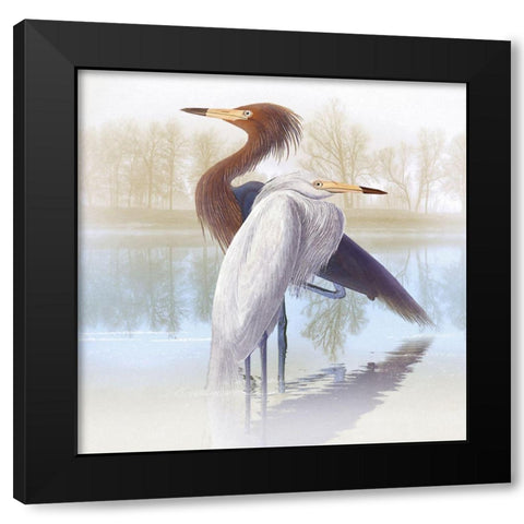 Misty Plumage IV Black Modern Wood Framed Art Print by Hunziker, Steve
