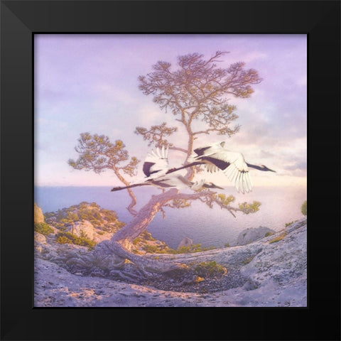 Mountain Crane I Black Modern Wood Framed Art Print by Hunziker, Steve