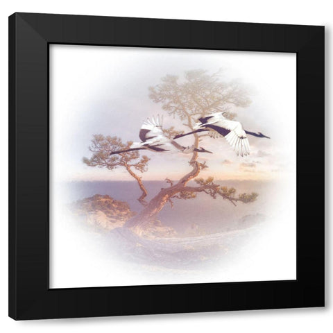 Mountain Crane II Black Modern Wood Framed Art Print with Double Matting by Hunziker, Steve
