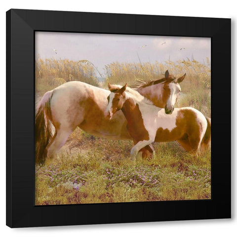 Equine Exuberance Black Modern Wood Framed Art Print with Double Matting by Hunziker, Steve
