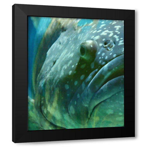 Turquoise Splash I Black Modern Wood Framed Art Print with Double Matting by Hunziker, Steve