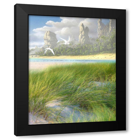 Celestial Tern II Black Modern Wood Framed Art Print with Double Matting by Hunziker, Steve