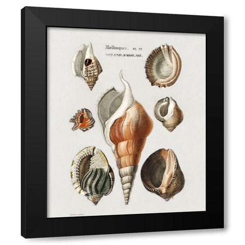 Repeating Image III Black Modern Wood Framed Art Print with Double Matting by Hunziker, Steve