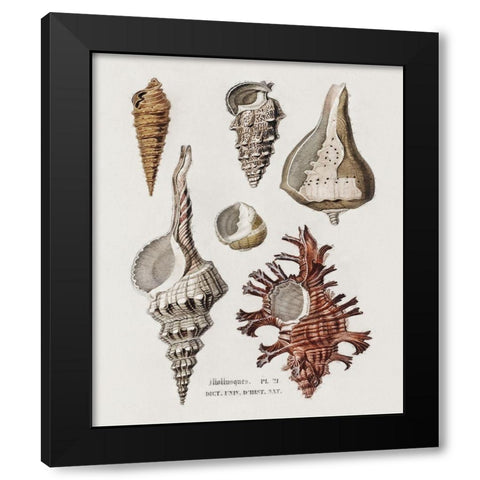 Repeating Image IV Black Modern Wood Framed Art Print by Hunziker, Steve