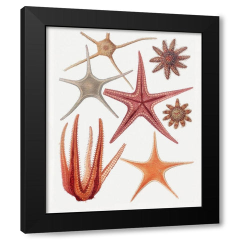 Repeating Image VI Black Modern Wood Framed Art Print with Double Matting by Hunziker, Steve