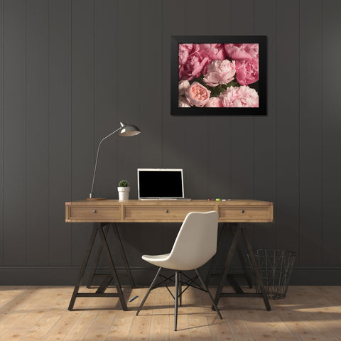 Pink Petals Black Modern Wood Framed Art Print by Maclean, Leah