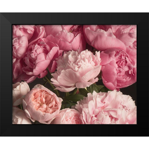 Pink Petals Black Modern Wood Framed Art Print by Maclean, Leah