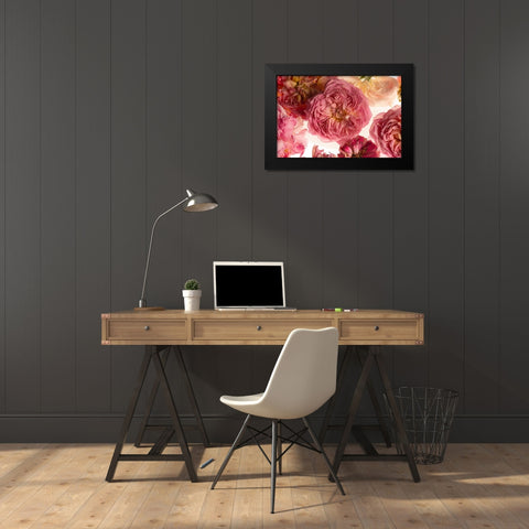 Rose on White Black Modern Wood Framed Art Print by Maclean, Leah