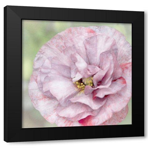 Jezebel Black Modern Wood Framed Art Print by Stalus, Judy