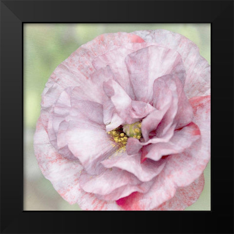 Jezebel Black Modern Wood Framed Art Print by Stalus, Judy